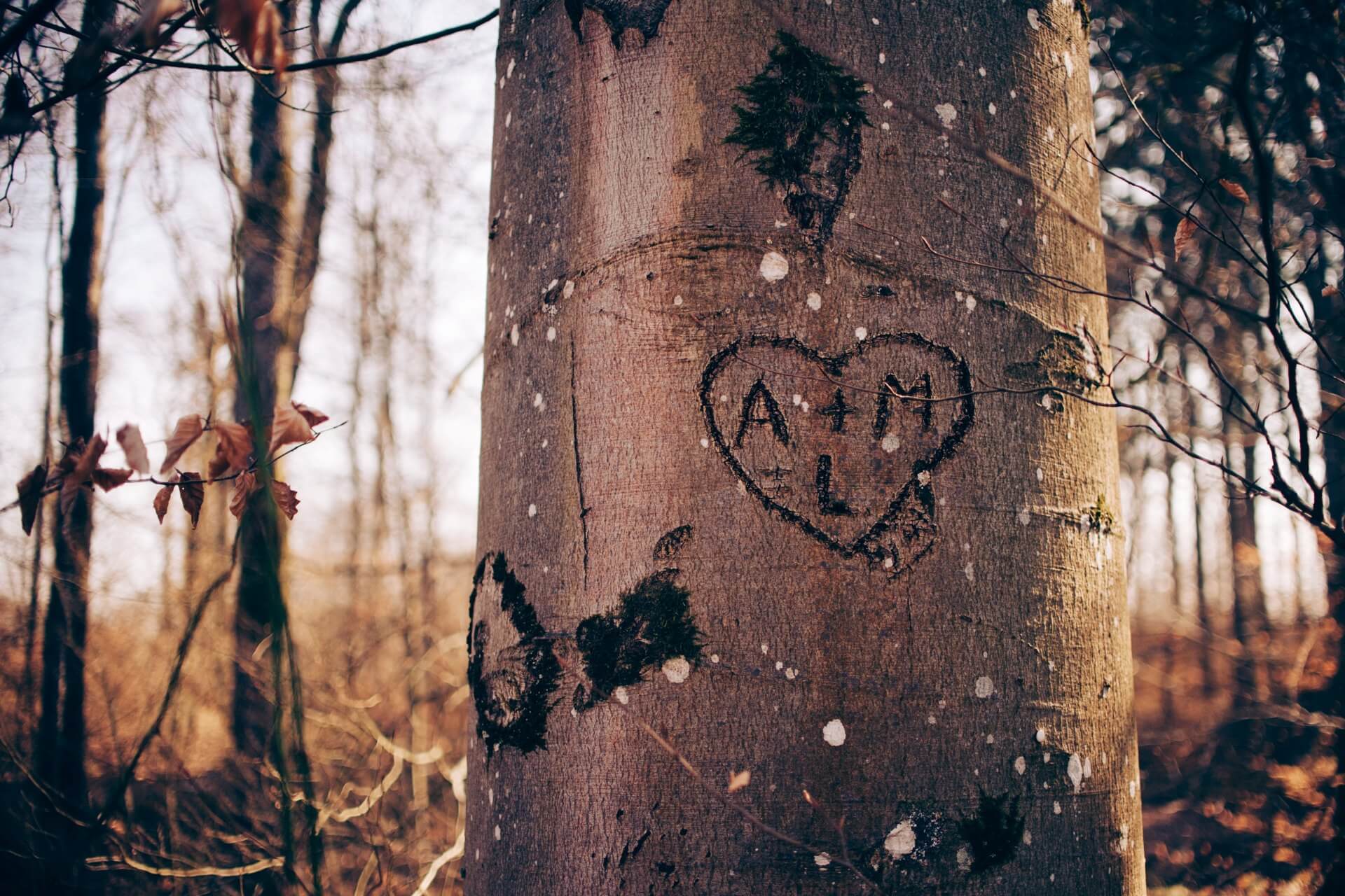 Freundin überraschen romantisch » So machst du alles richtig!